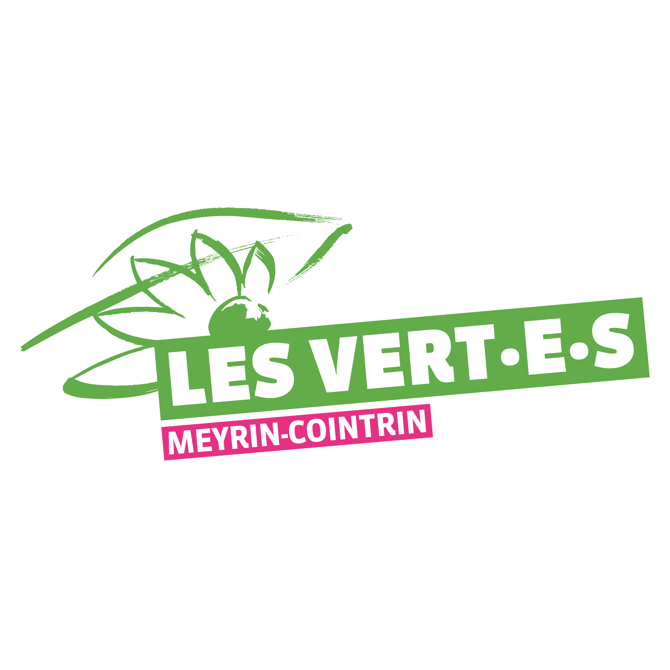 Les Verts Meyrin Cointrin campagne vidéo élection